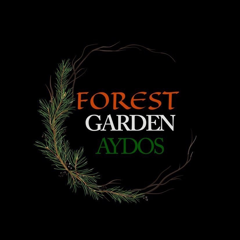 Forest Garden